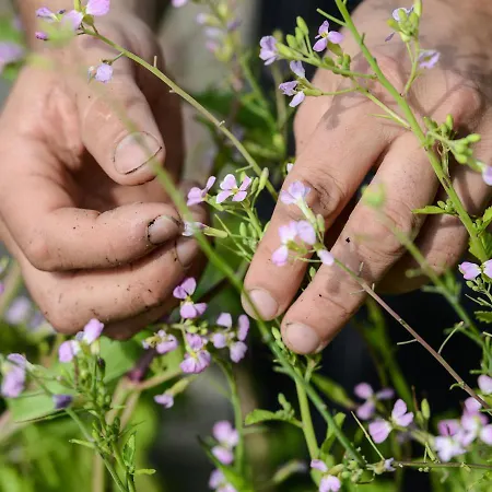 Les Freres Ibarboure Hotel 4*