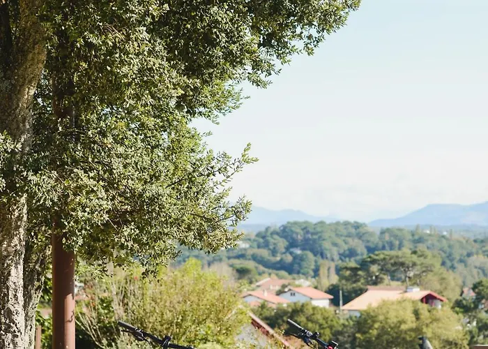 Hotel Les Freres Ibarboure 4*