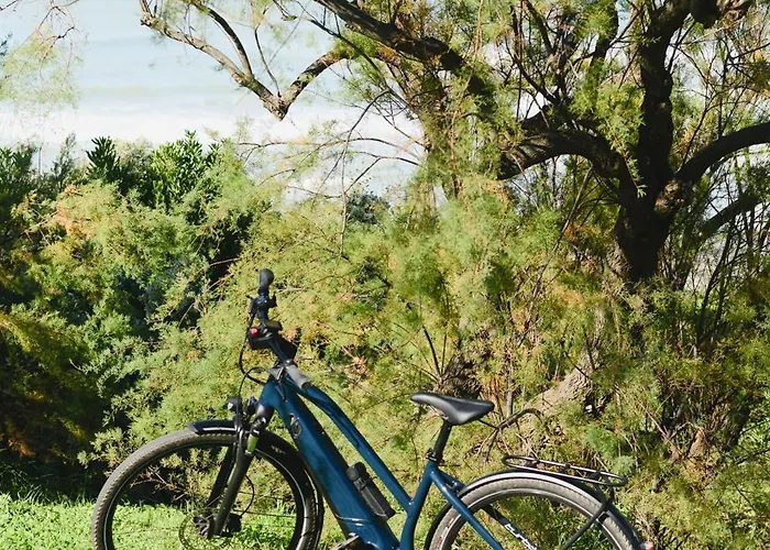 Hotel Les Frères Ibarboure - 4 étoiles, Extérieur Sensoriel Et Restaurant étoilé à